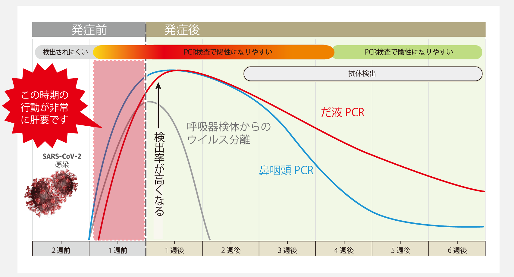 検出されやすい時期を示すグラフ