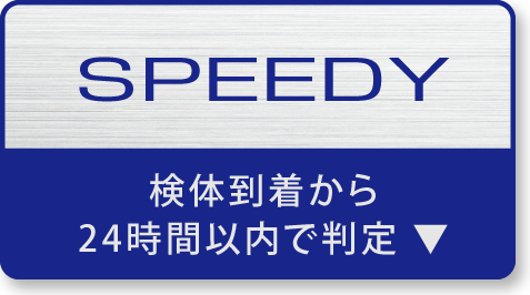 SPEEDY